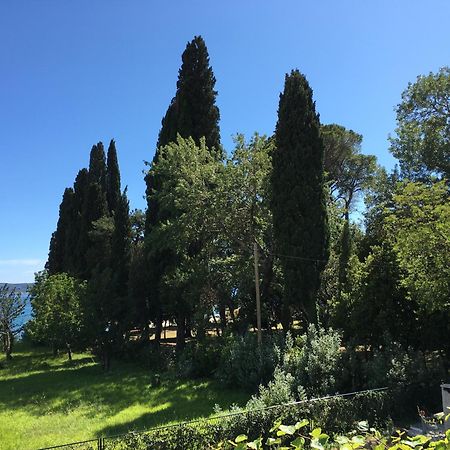 KaštelaPalmajaアパートメント エクステリア 写真